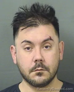 Recent Mugshot Image for HAROLD RAY Jr NEELEY in Palm Beach County, Florida