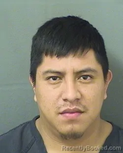 Recent Mugshot Image for SELVIN GALINDO GARCIALOPEZ in Palm Beach County, Florida