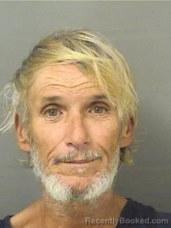 Recent Mugshot Image for PATRICK N MIKUS in Palm Beach County, Florida