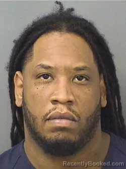 Recent Mugshot Image for SEBASTIEN GEFFRARD in Palm Beach County, Florida