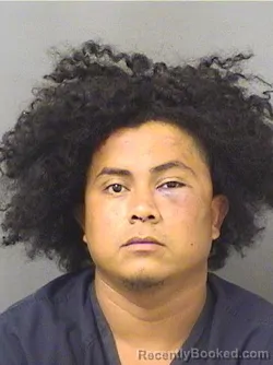 Recent Mugshot Image for EDUAR R RIVERADIAZ in Palm Beach County, Florida