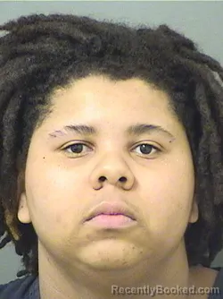 Recent Mugshot Image for DEMARIO TRAMELJ WARE in Palm Beach County, Florida