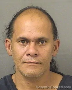 Recent Mugshot Image for NOEL ROSAPACHECO in Palm Beach County, Florida