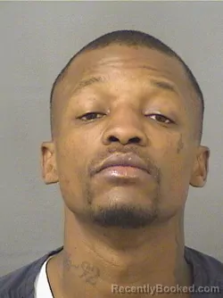 Recent Mugshot Image for MARQIESE J REID in Palm Beach County, Florida