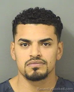 Recent Mugshot Image for MANFRED J RUIZ in Palm Beach County, Florida
