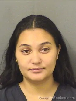 Recent Mugshot Image for SEOEUN LEE in Palm Beach County, Florida