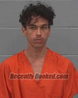 Recent Mugshot Image for FILIPE GABRIEL GOMES RODRIGUES in Pasco County, Florida