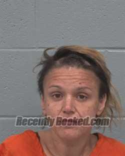 Recent Mugshot Image for STEPHANIE ANGIUS in Pasco County, Florida