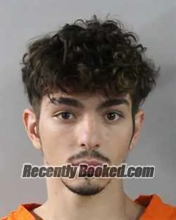 Recent Mugshot Image for JULIAN TREVINO in Polk County, Florida