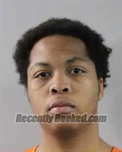 Recent Mugshot Image for DUANE PALMER in Polk County, Florida