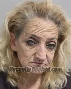 Recent Mugshot Image for ELIZABETH AGUAYO in Polk County, Florida