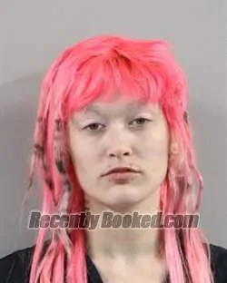Recent Mugshot Image for KAIDYN HUNTER in Polk County, Florida