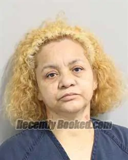 Recent Mugshot Image for EMANUELLE CARVALHO in Polk County, Florida