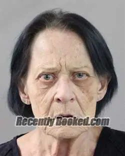 Recent Mugshot Image for DONNA FONS in Polk County, Florida