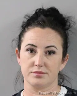 Recent Mugshot Image for MEGAN HILL in Polk County, Florida