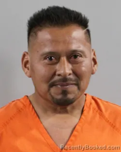 Recent Mugshot Image for ARCIDES RIBON-CARRILO in Polk County, Florida