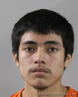 Recent Mugshot Image for PEDRO ORTEGA in Polk County, Florida