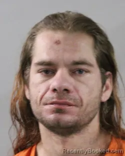 Recent Mugshot Image for TRAVIS LOWERY in Polk County, Florida