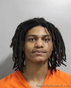 Recent Mugshot Image for STEPHANELY JANVIER in Polk County, Florida