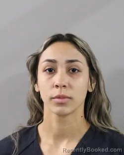 Recent Mugshot Image for MELANYS BRUNO-SANCHEZ in Polk County, Florida