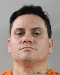 Recent Mugshot Image for YOSMANY FERNANDEZ in Polk County, Florida