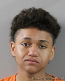 Recent Mugshot Image for LUIS OTERO in Polk County, Florida