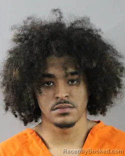 Recent Mugshot Image for THOMAS BURNEY JR in Polk County, Florida