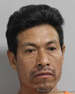 Recent Mugshot Image for ALFONZO BINZHA-CRUZ in Polk County, Florida