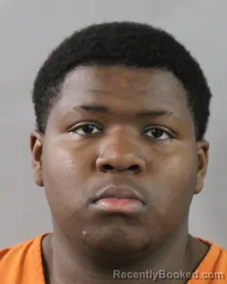 Recent Mugshot Image for ARKEVION BLAND in Polk County, Florida