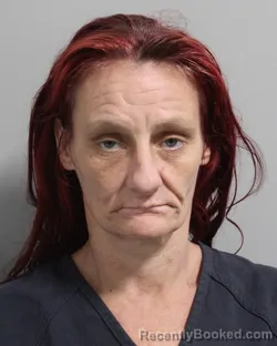 Recent Mugshot Image for NICOLE MERLUZZI in Polk County, Florida
