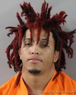 Recent Mugshot Image for DAVID COULTER in Polk County, Florida