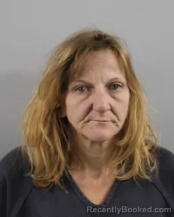 Recent Mugshot Image for SHAYNE ROBINSON in Polk County, Florida