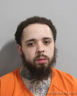 Recent Mugshot Image for LUIS DIAZ in Polk County, Florida