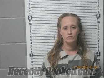 Recent Mugshot Image for Tiffany Joanne Smith-Collins in Montgomery County, Kansas