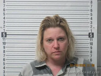 Recent Mugshot Image for Cheyenne Dawn Harless in Montgomery County, Kansas