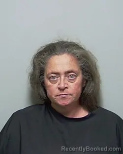 Recent Mugshot Image for WENDI JEAN WARD in Putnam County, Florida