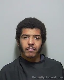 Recent Mugshot Image for MELVIN ANTHONY LARK in Putnam County, Florida