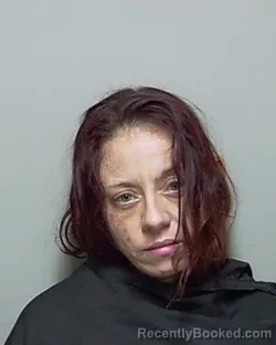Recent Mugshot Image for NICOLE LYNNE FINLEY in Putnam County, Florida