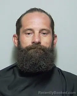 Recent Mugshot Image for SHANNON LEE ANDERSON in Putnam County, Florida