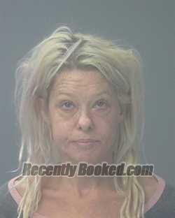 Recent Mugshot Image for JAMIE SUE WILLIAMS in Santa Rosa County, Florida