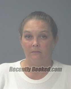 Recent Mugshot Image for NIKKI JEAN BURKS in Santa Rosa County, Florida