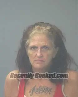 Recent Mugshot Image for LAURIE ANN CHAPMAN in Santa Rosa County, Florida