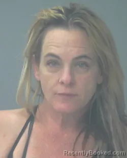 Recent Mugshot Image for ANGELA CATHERINE HANSON in Santa Rosa County, Florida