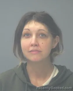 Recent Mugshot Image for COURTNEY NICOLE BRICENO in Santa Rosa County, Florida