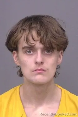 Recent Mugshot Image for Elijah Christopher Hammon in Saline County, Kansas