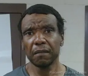 Recent Mugshot Image for DAVID PRENTICE DODSON in Sedgwick County, Kansas