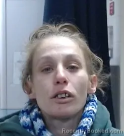 Recent Mugshot Image for AMANDA LYNN DICKERSON in Sedgwick County, Kansas