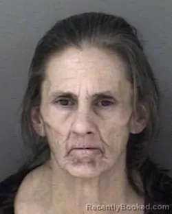 Recent Mugshot Image for Donna Lynette Chrisman in Shawnee County, Kansas