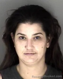 Recent Mugshot Image for Olivia Dawn Phinney in Shawnee County, Kansas