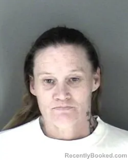 Recent Mugshot Image for Dawn Lynn Hasley in Shawnee County, Kansas